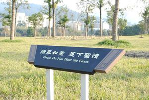 空降门